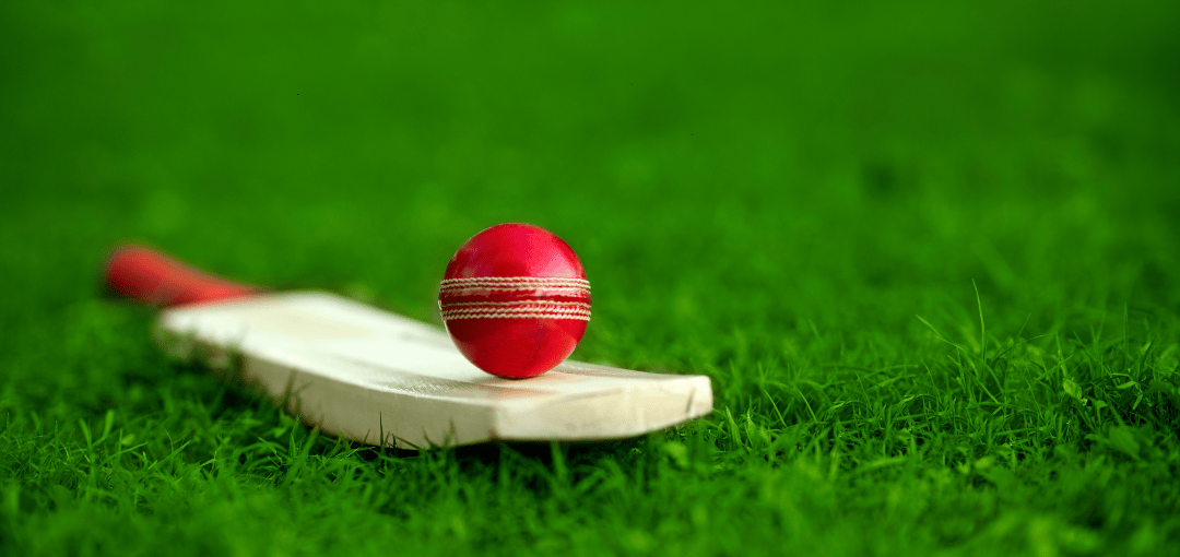 Mini Masters Cricket League